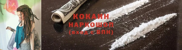 ешки Ельня