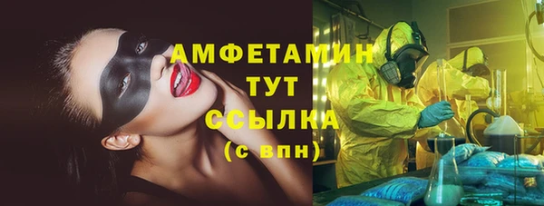 сатива Дмитровск