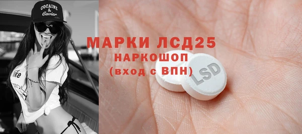 сатива Дмитровск