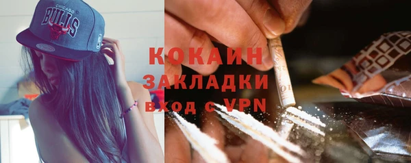 трава Дмитриев