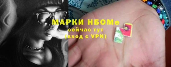 сатива Дмитровск