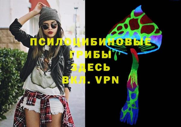 трава Дмитриев