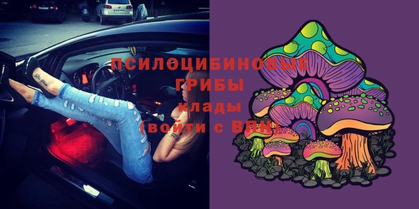 сатива Дмитровск