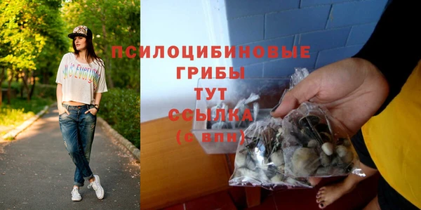сатива Дмитровск