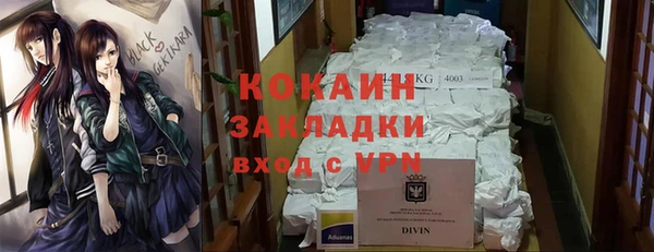 сатива Дмитровск
