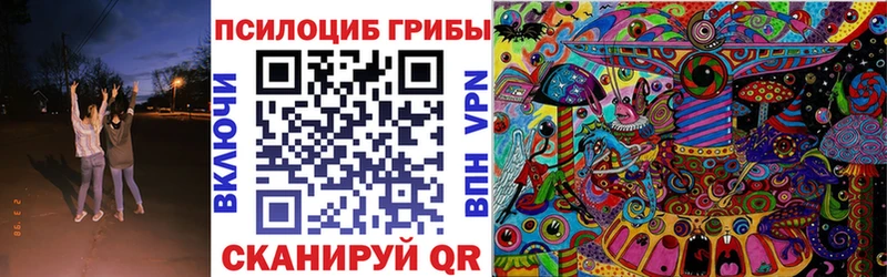 Купить закладки  Ковдор  Галлюциногенные грибы Cubensis 